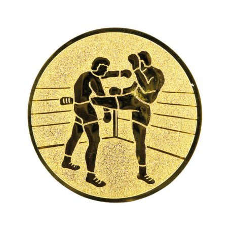 B047 Kick-box    